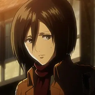 Profile image of ミカサ