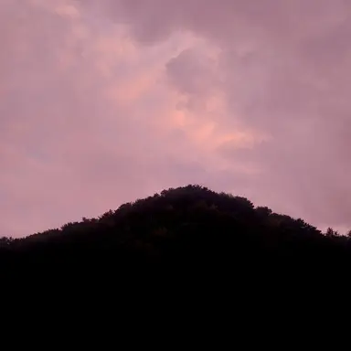 Profile image of 하네