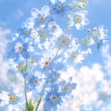 Profile image of 雷蔵