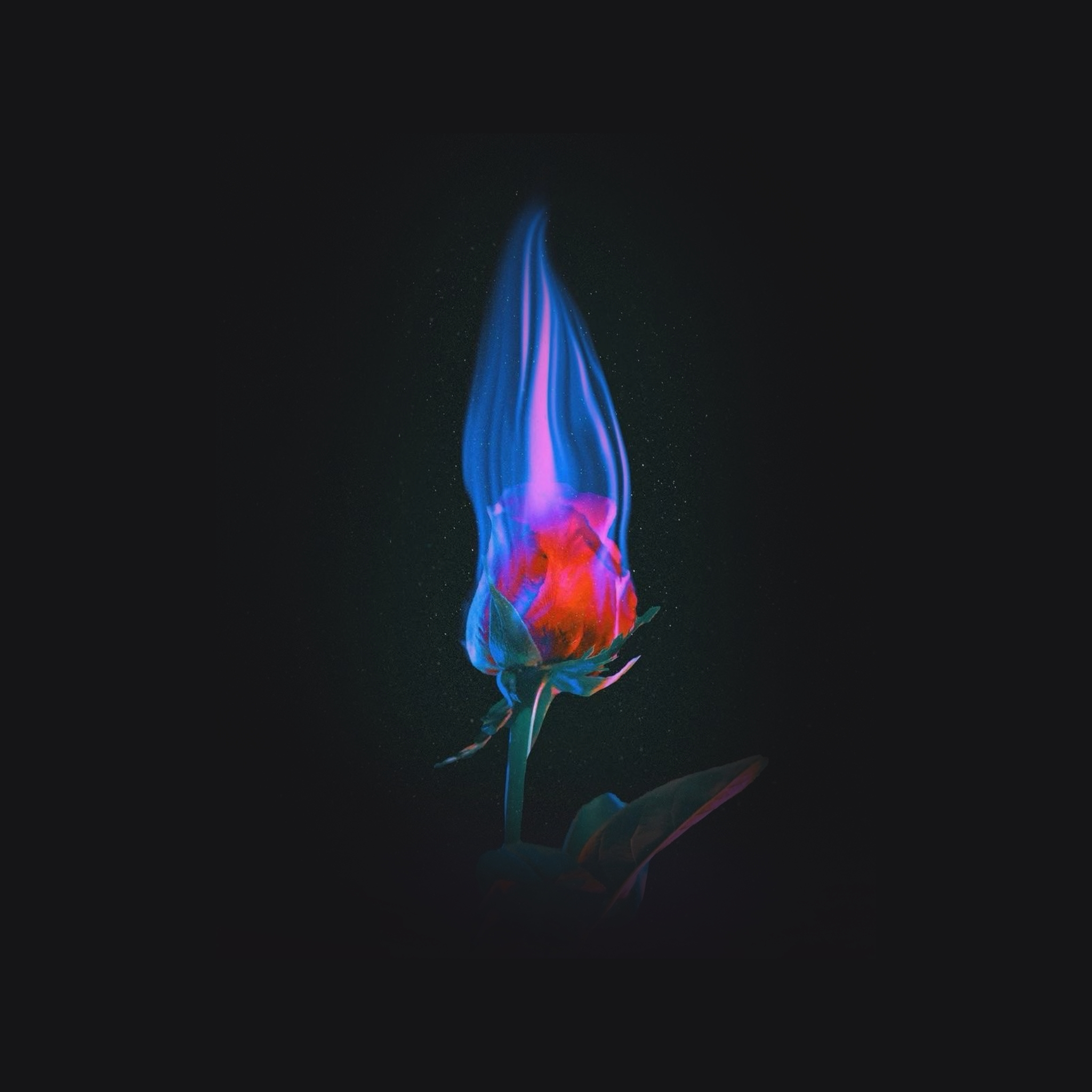 𝐋𝐀𝐒𝐓 𝐖𝐎𝐑𝐃𝐒 대표 이미지