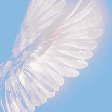 Profile image of 파크모