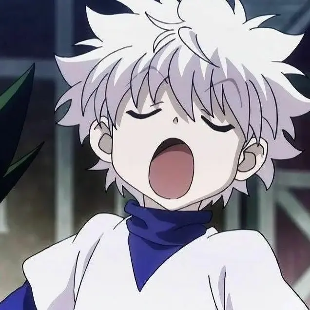 FitTown863의 HUNTER×HUNTER