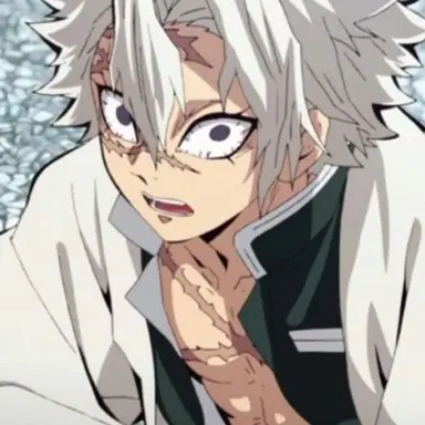 Profile image of 시나즈가와 사네미