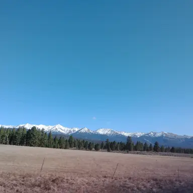 Profile image of Kaleb