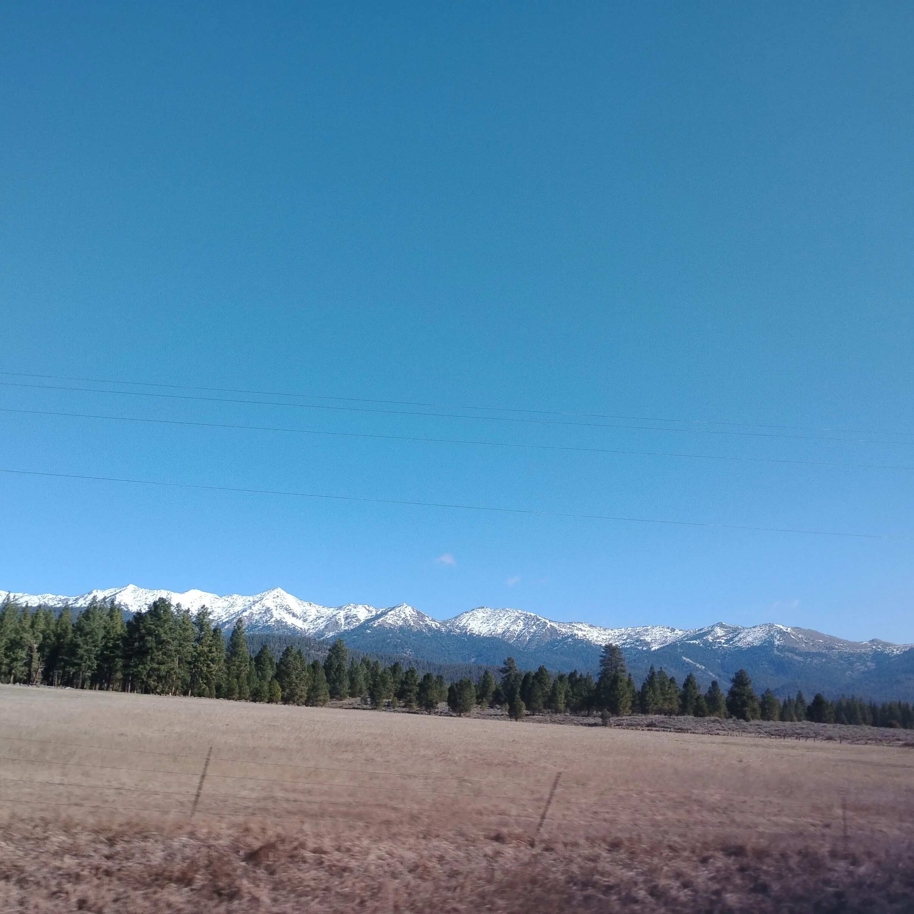 ClearRate0586의 The Space Hashira's Dilemma