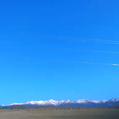 Profile image of Shinobu