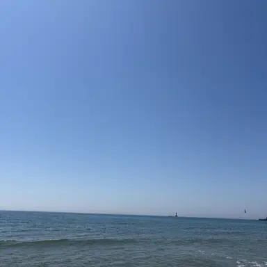 Profile image of 정찬