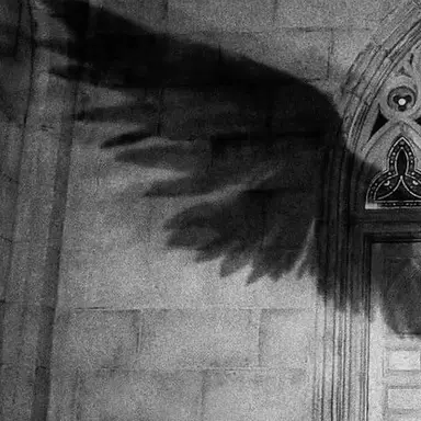 Profile image of 피오르