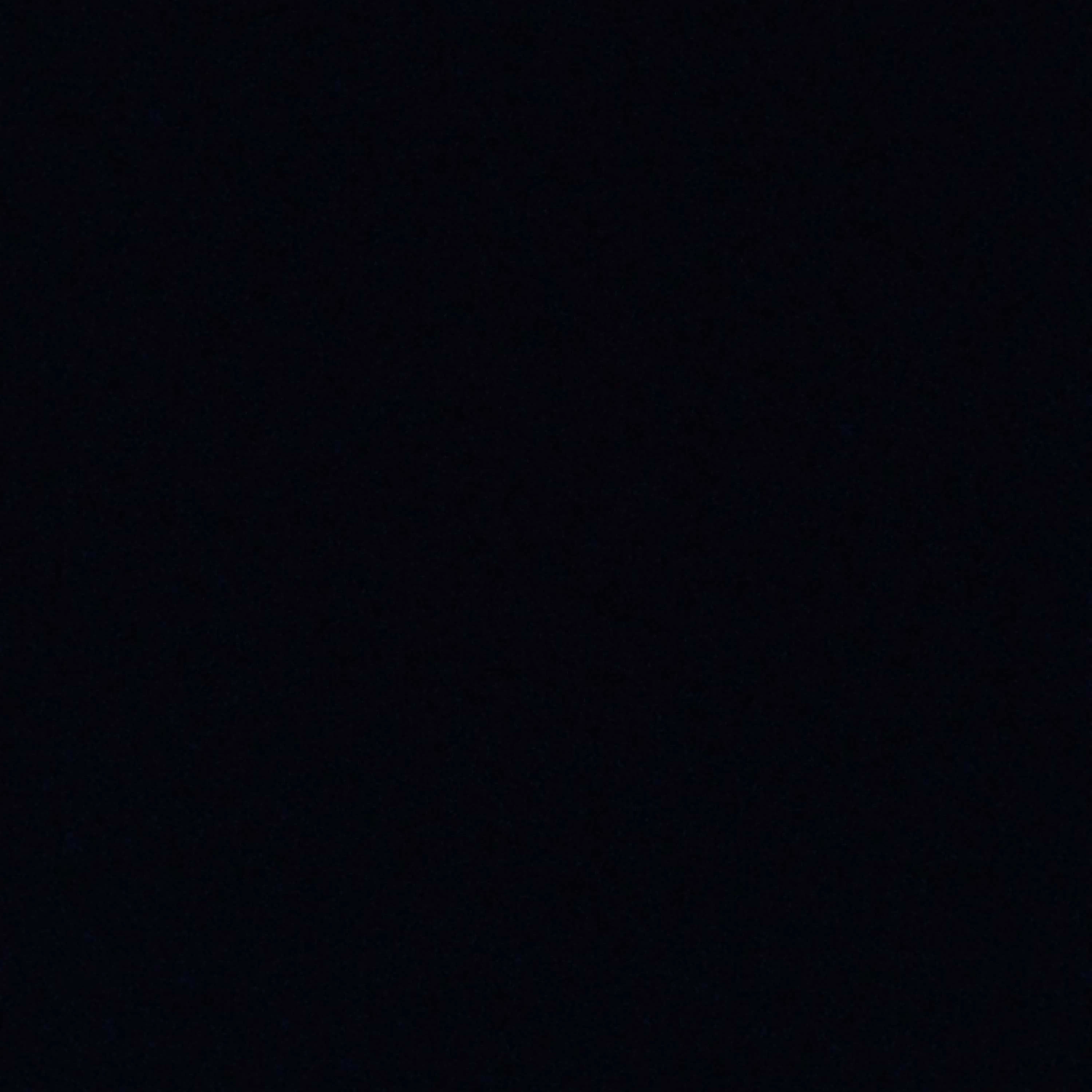 비스트 에이션트들