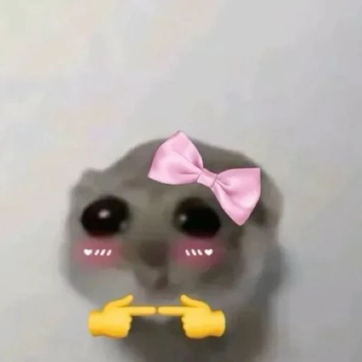 례미