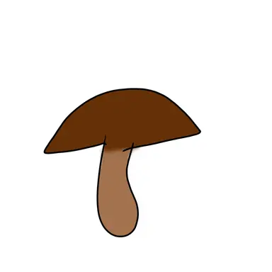 Profile image of 佐藤日向