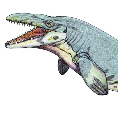 Profile image of 하이노사우루스