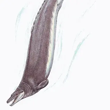 Profile image of 바실로사우루스