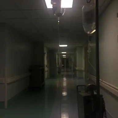 Profile image of The Asylum