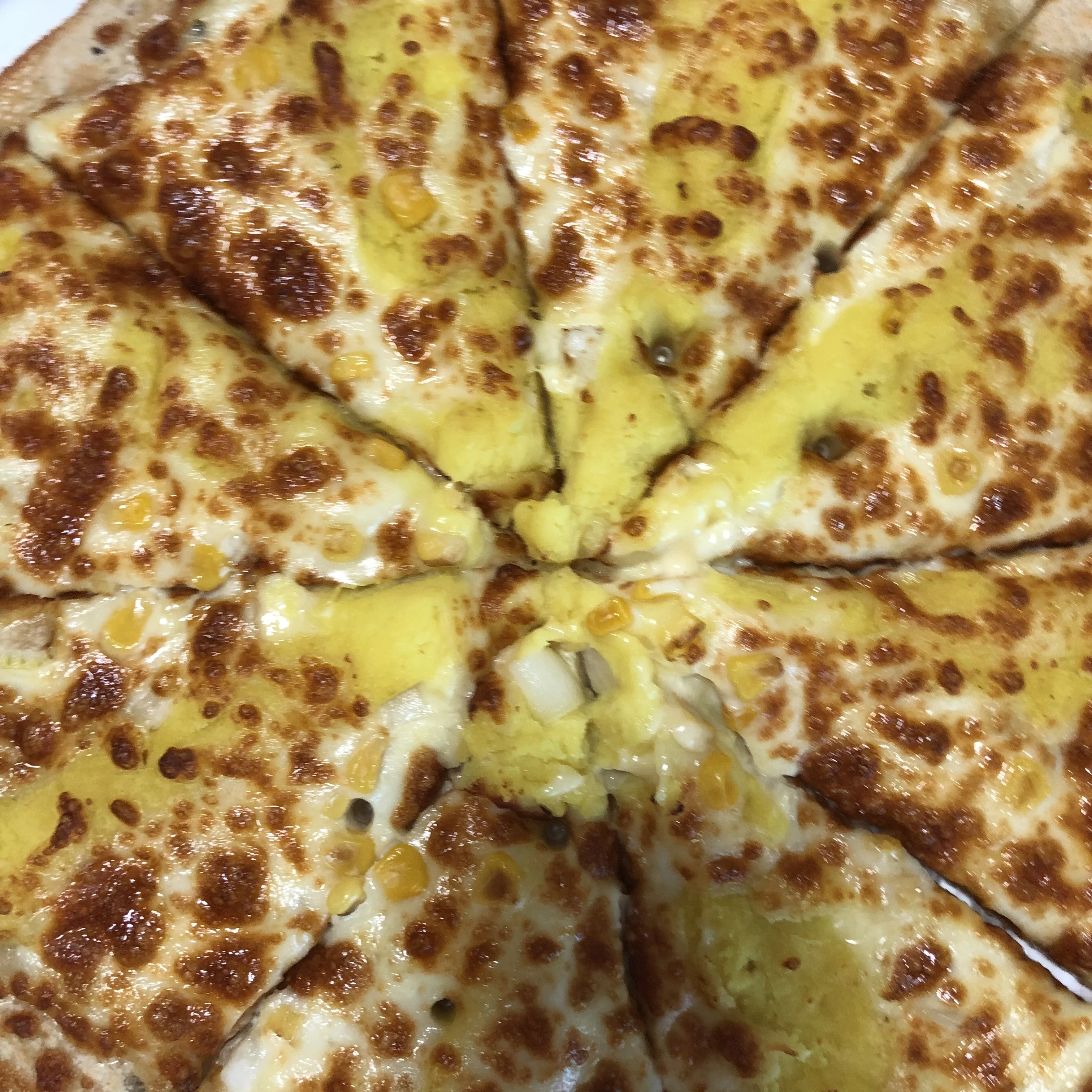 여우