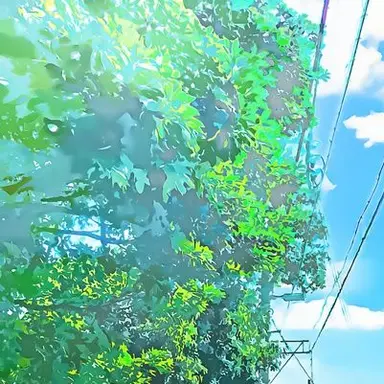 Profile image of 郡司