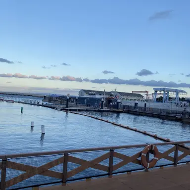 Profile image of 時透無一郎