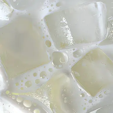 Profile image of ㄱㅇㅎ