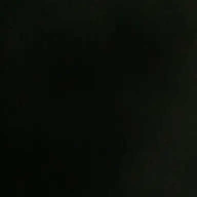 Profile image of 백지헌