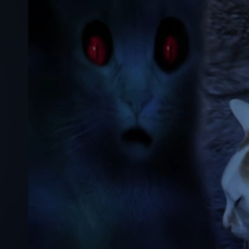 귀신 고양이 대표 이미지