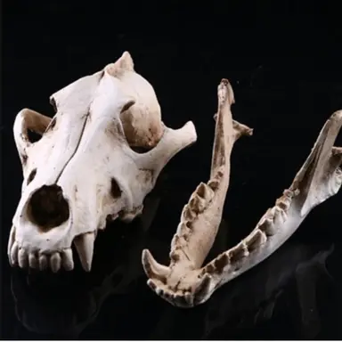 Profile image of 콤모두스