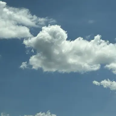 Profile image of 박한진