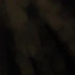 Profile image of 担任