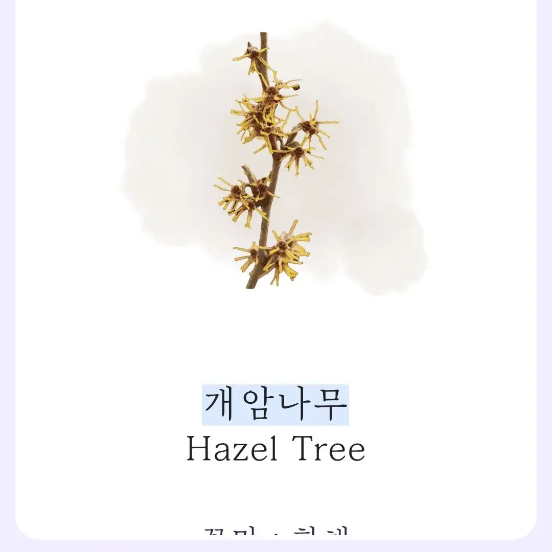 VoicedFloss2140의 파자마파티(나히아)