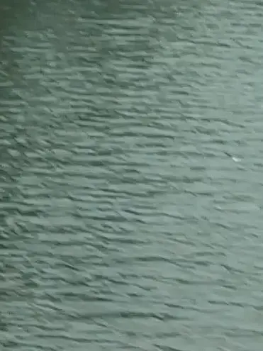 SnowMantan.Abe.saioshi의 c