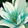 Profile image of 自由