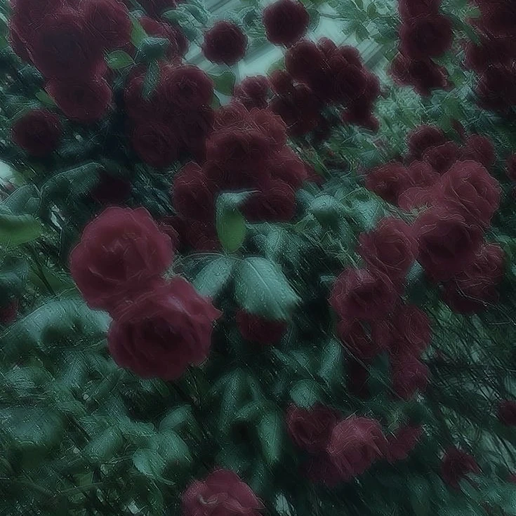 Paul  파울
