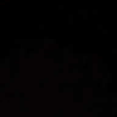 Profile image of 김동현