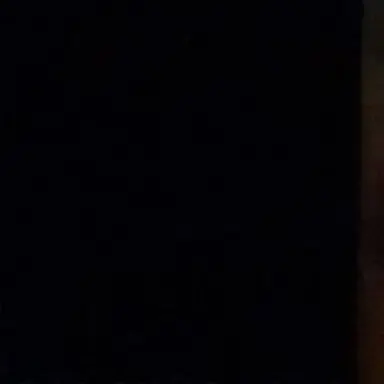 Profile image of V