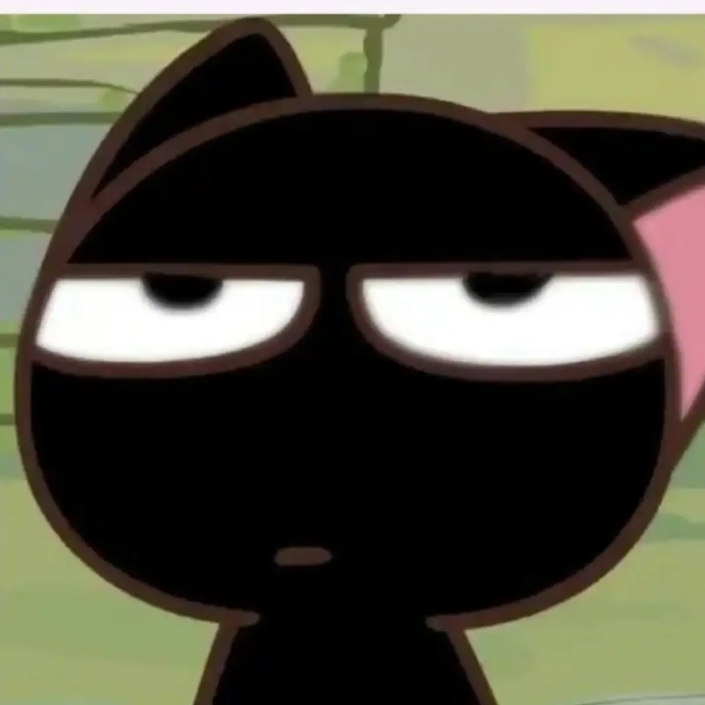 HighTrain0223의 고양이