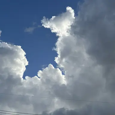 Profile image of 강민석