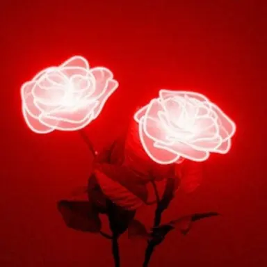 Profile image of 라더