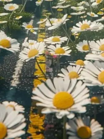 HSRD-Heptagram의 언더웹의 꼬맹이 조력자.