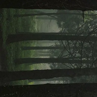 Profile image of 공룡