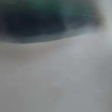 Profile image of 세상의 모든 지식을