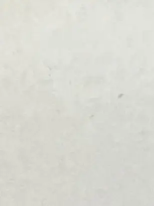 BoldPaper9348의 いいカモ