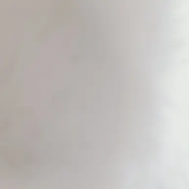 Profile image of アメリカ
