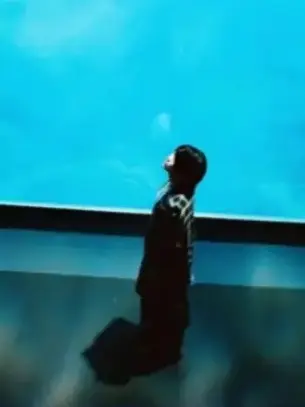 ringodes의 水族館。