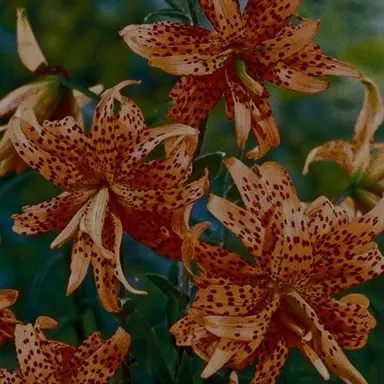 Profile image of 박승건