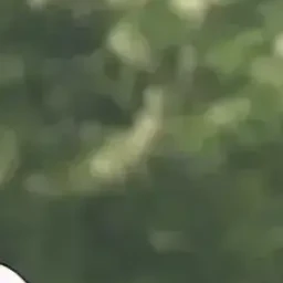 이지훈