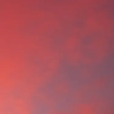 Profile image of 코마