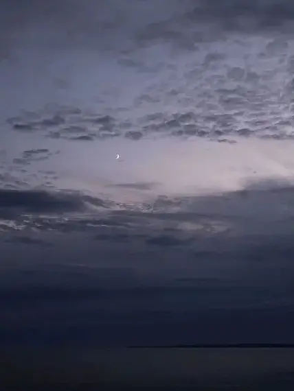 RoomyYarn2645의 溺愛されてる。