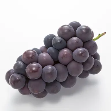 Profile image of 아버지