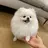 퐁이