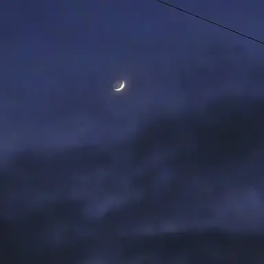 Profile image of 茅野