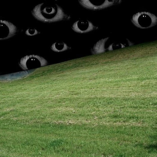 D.E